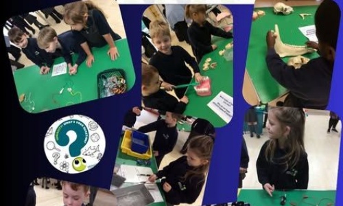 News &raquo; Science Curiosity Fair